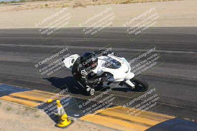 media/Nov-12-2023-SoCal Trackdays (Sun) [[5d1fba4e7d]]/Turn 14 Inside (2pm)/